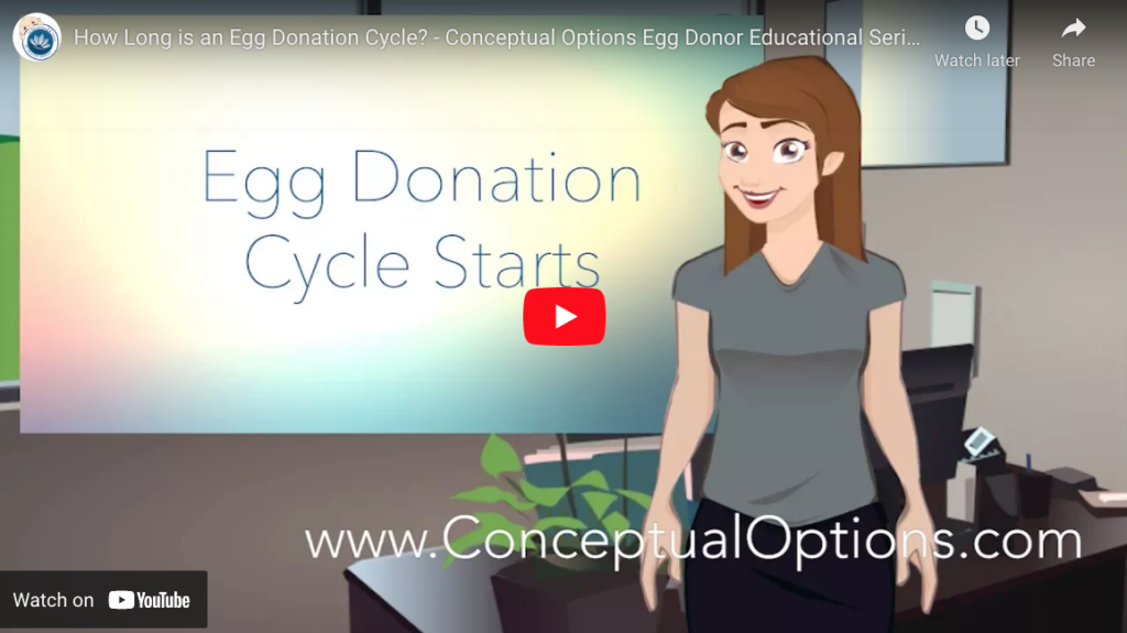 How long is an Egg Donation Cycle? Egg Donor Educational Series YouTube ScreenShot