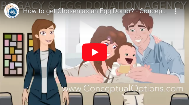 How to get Chosen as an Egg Donor? - Conceptual Options Egg Donor Educational Series YouTube ScreenShot