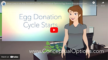 How long is an Egg Donation Cycle? Egg Donor Educational Series YouTube ScreenShot