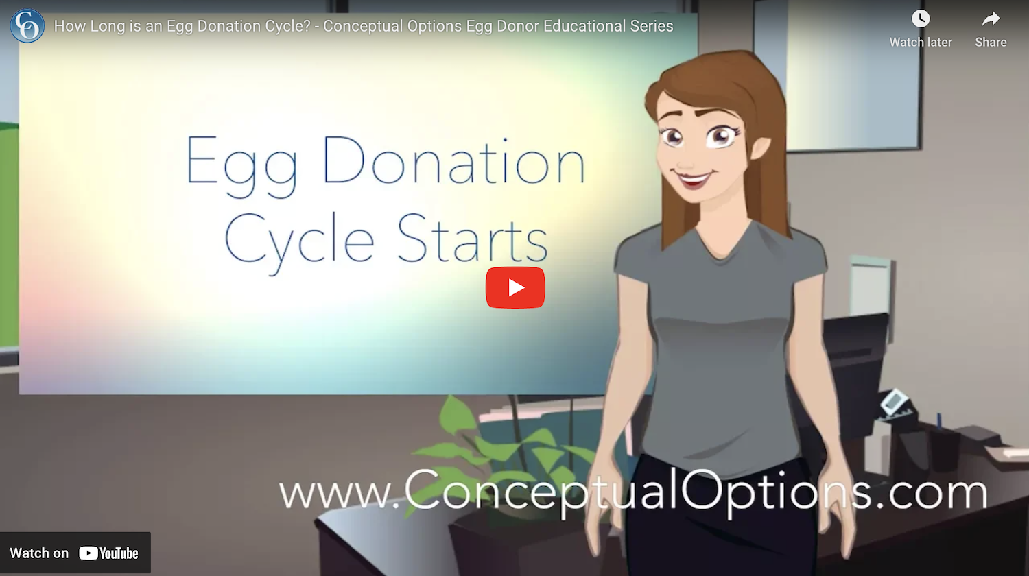 Egg donation cycle video