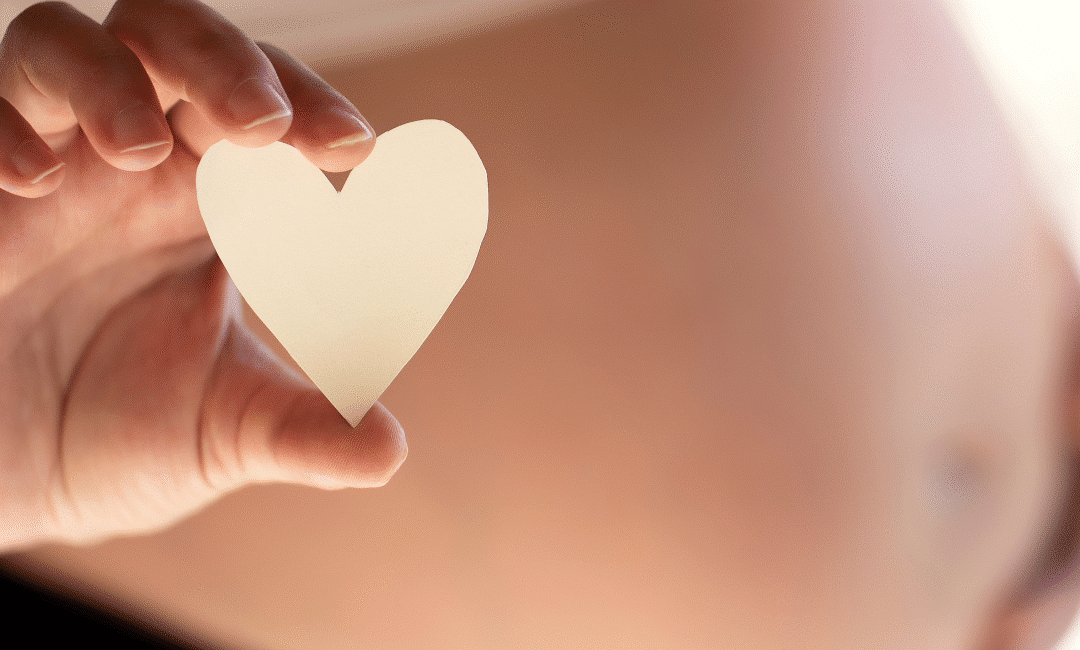 Building Your Family Through Surrogacy and Egg Donation with Conceptual Options