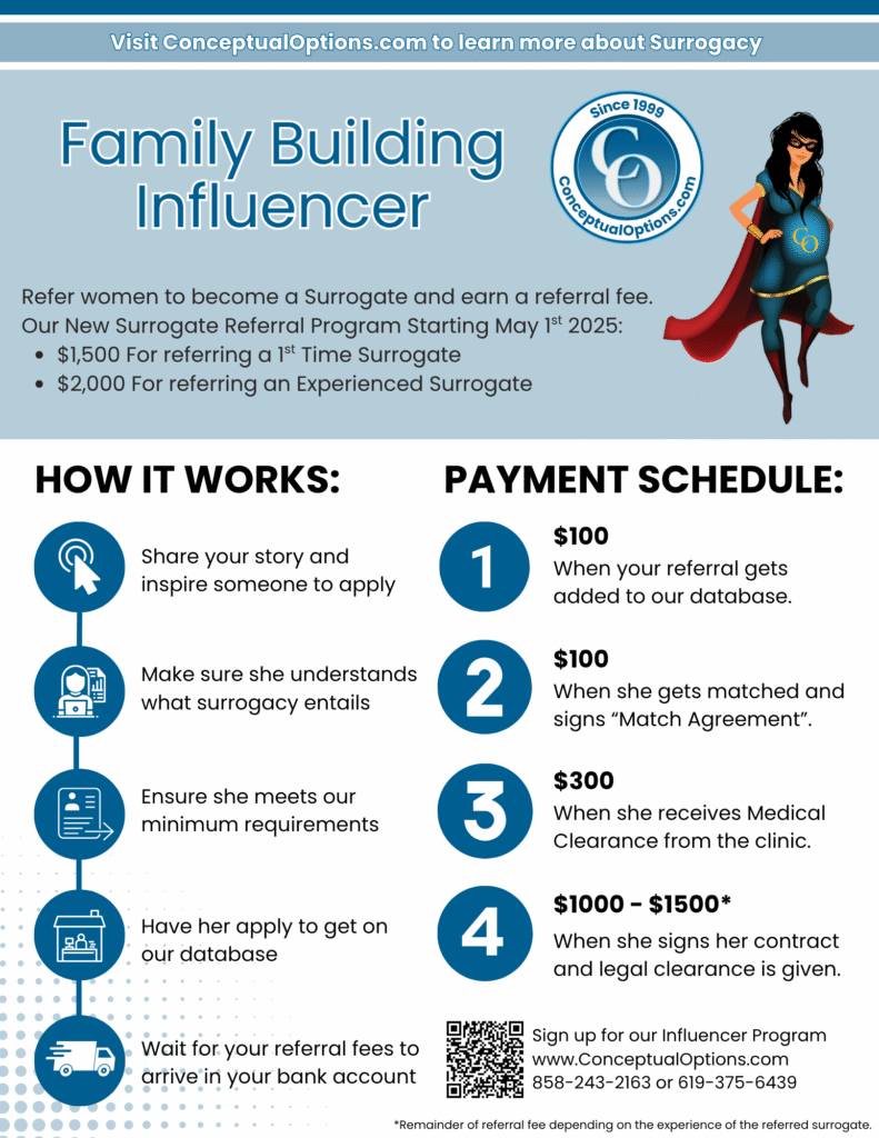 Family Building Influencer Fact Sheet Conceptual Options