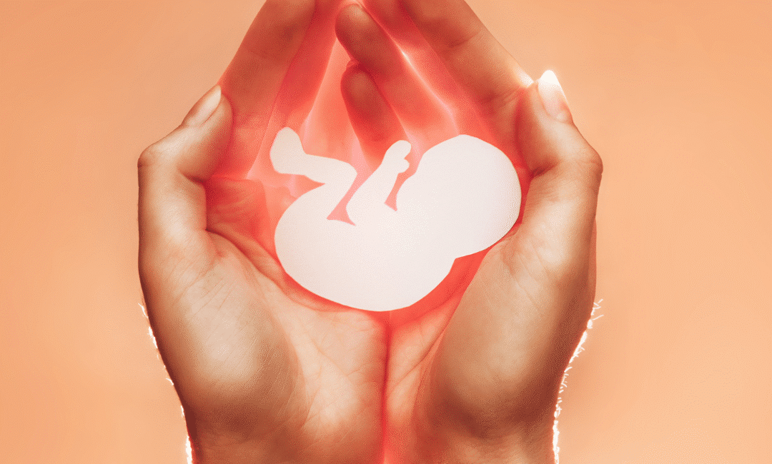 Fresh Egg Donation Cycles vs. Frozen Eggs: Why Fresh Embryos Shine - Choosing the Right Path with Conceptual Options