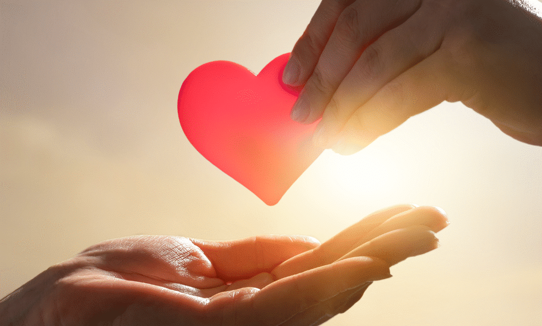 Fresh vs Frozen Egg Donation Cycle Blog Post 090325