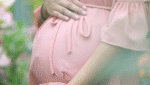 How Surrogacy with Conceptual Options Elevated My Family's Journey Surrogacy Blog Post