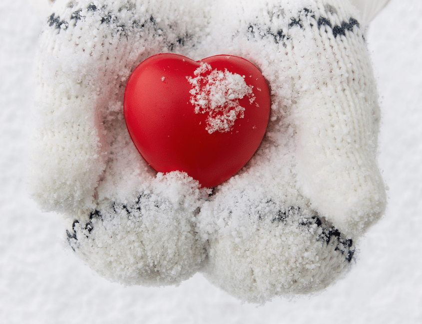 Celebrating the Holidays: Joy, Traditions, and Love in LGB Families Blog Post Image 122325