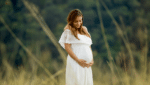 Selecting the Perfect Surrogate: Your Journey with Conceptual Options Blog Post 021226