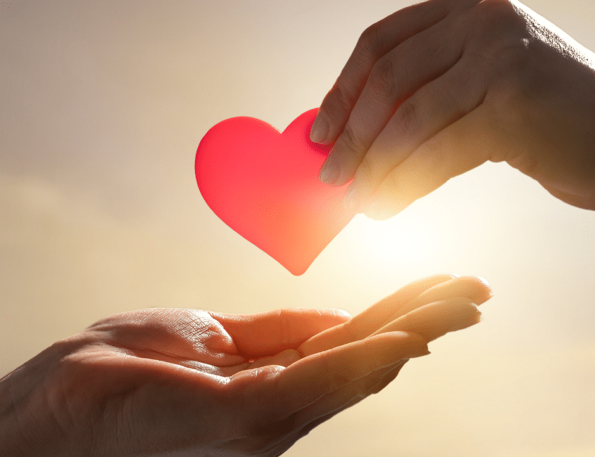 Conceptual Options and the Boozer Family: A Powerful Story of IVF, PGD, and Family Blog Post Image 03/25/26