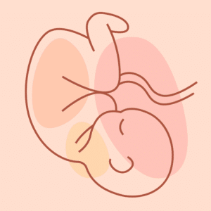 Understanding Embryo Transfer: A Key Step in Surrogacy with Conceptual Options Blog Post Image 041726